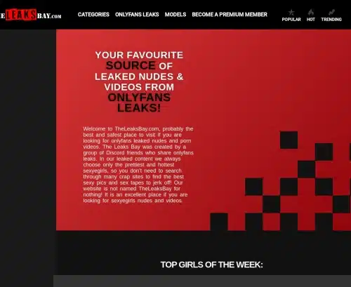 A Review Screenshot of TheLeaksBay