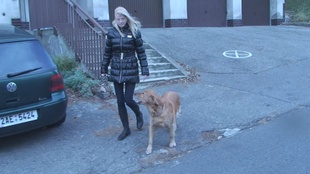 6. Download full pics of Slim blonde sucks, fucks and swallows from czechamateurs.com