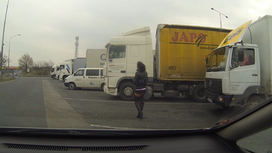 1. Download full pics of Impregnated bitch from czechbitch.com