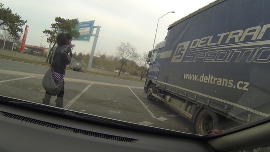 12. Download full pics of Impregnated bitch from czechbitch.com