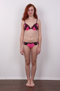 7. Download full pics of Dana (22) from czechcasting.com