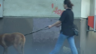 2. Download full pics of Nahá prsa - příliš pozdě na zakrytí from czechjacker.com