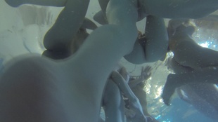 3. Download full pics of Stunning Czech Lesbians Go Wild – Wettest Action Ever – Part 5 from czechlesbians.com