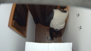 12. Download full pics of Cute Brunette Slut Rides Her Masseur's Cock from czechmassage.com