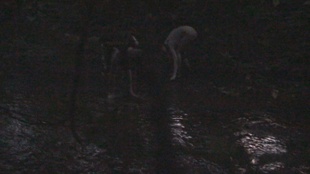 6. Download full pics of Festival Slut Fucked While Spied on by the Ultimate Creep! from czechsnooper.com