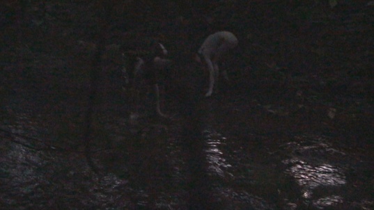 6. Download full pics of Festival Slut Fucked While Spied on by the Ultimate Creep! from czechsnooper.com