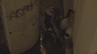 4. Download full pics of Street Whore Caught by the Filthiest Voyeur Around! from czechsnooper.com