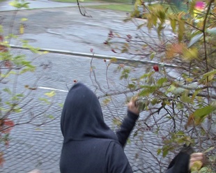 12. Download full pics of Ingenuo 18 años from czechstreets.com