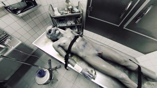 1. Download full pics of The UFO from Roswell from gayxvirtual.com