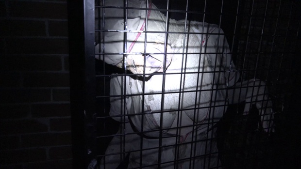 2. Download full pics of 地獄の看護師たち from horrorporn.com