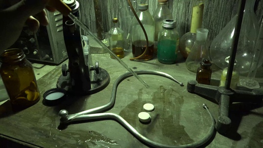 1. Download full pics of Female spider from horrorporn.com