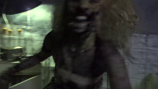 12. Download full pics of Female spider from horrorporn.com