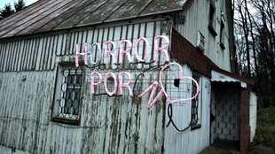 1. Download full pics of Freak house: Шлюха с тремя сиськами from horrorporn.com