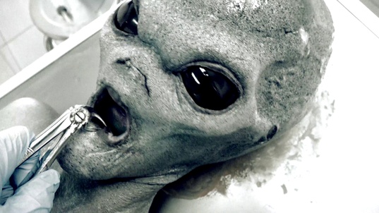 2. Download full pics of Roswell UFO from horrorporn.com