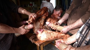 6. Download full pics of Food Fight? Nah, Fucked Fight-Cocked Right from monstercockgang.com