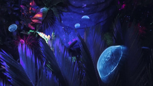 3. Download full pics of Porndora from movieporn.com