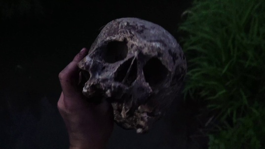 1. Download full pics of Raubtier-Schwanzjäger from movieporn.com