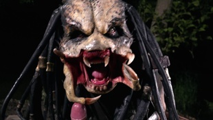 3. Download full pics of Cazador de pollas depredador from movieporn.com