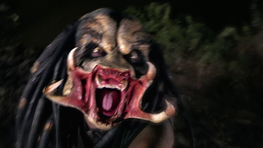 12. Download full pics of Raubtier-Schwanzjäger from movieporn.com