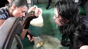 6. Download full pics of Journey to Wealth from perversefamily.com