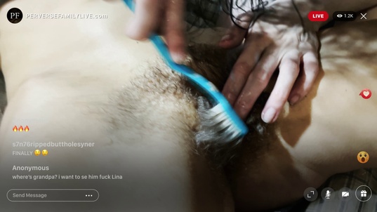 2. Download full pics of Lina's Hairy Cunt from perversefamilylive.com