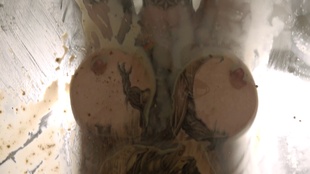 6. Download full pics of Sash Beart Pukes on Glass Table from powerfetish.com