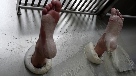 1. Download full pics of Veronica Leal Latina Prolapse from powerfetish.com