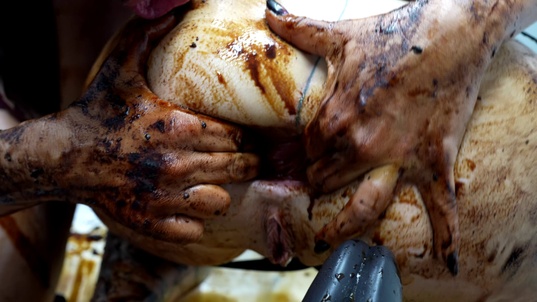 6. Download full pics of Sasha Anime Enjoys Butt Rose from powerfetish.com